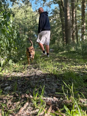 Peanut sucht ein ruhiges, geduldiges Zuhause   