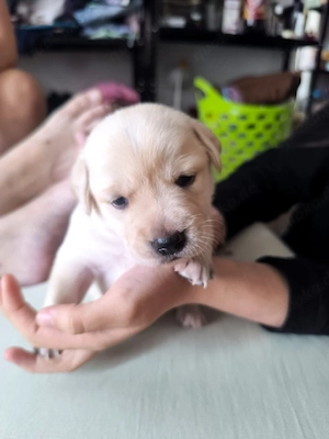 Cooper geboren 4.9.