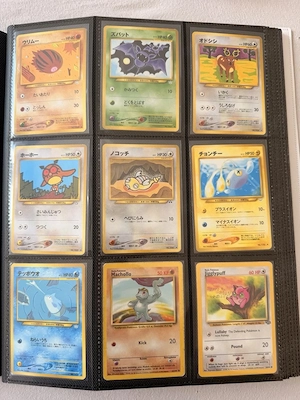 Pokemon Karten-Sammlung 