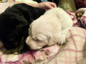Candy und Cassy