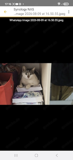 Sheba möchte gerne in ihr Traumzuhause umziehen