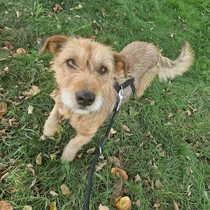 Mario, 3 Jahre, 35 cm, lieb, aufgeschlossen 