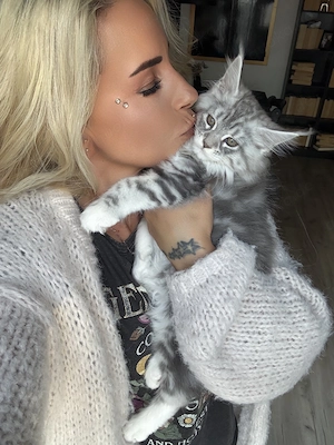 Meine Coon kitten m.P