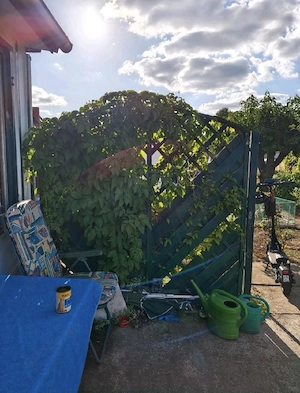 Schrebergarten in Magdeburg-Neue Neustadt   319 m     Möbelierte Laube   Wasser und Strom!