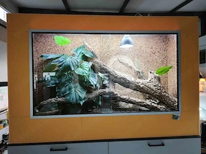 Abzugeben Großes Terrarium