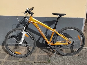 Mountainbike 