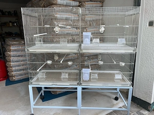 Vogelkäfige