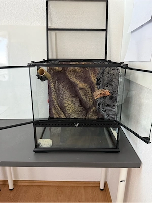 Terrarium Exo Terra 45