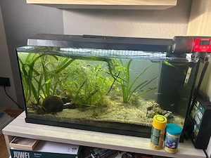 Aquarium Komplett