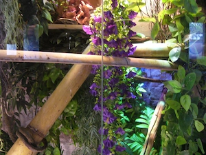 Komplette einrichtung von meinen Terrarium