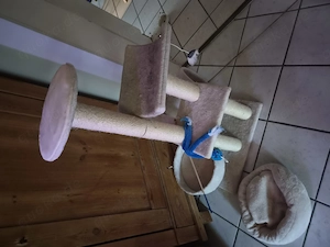 Katzen Kratzbaum und Toilette
