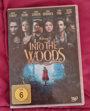 INTO THE WOODS DVD in sehr gutem Zustand