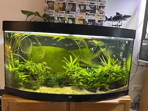 Aquarium juwel