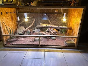 Terrarium 150x80x80