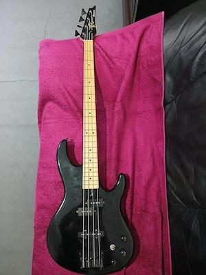 Ibanez  PJ-Bass  TR Series. 