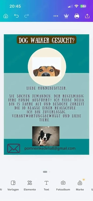dog walker gesucht?