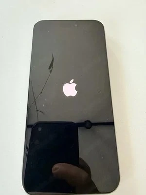Appel iPhone 15 Pro Max 