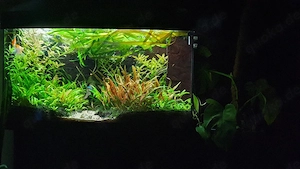 Aquarium Juwel 180 Vision 