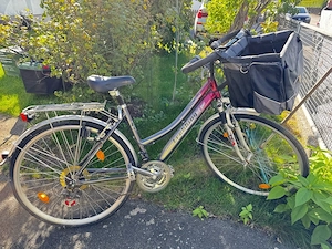 Alu Damenfahrrad Alu-Bike 21 Gänge