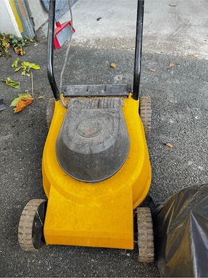 elektrischer Rasenmäher mit Fangkorb