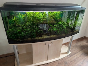450-Liter-Aquarium als komplettes Set