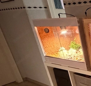 Terrarium 60x40x40 