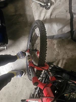 bulls Fahrrad 