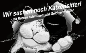 katzen sitter gesucht ( jung )