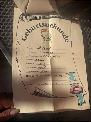 Teddy bär 1995 jahe