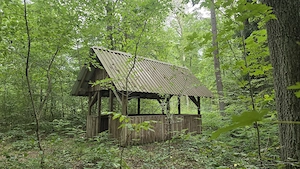Lust auf Wald und mehr?