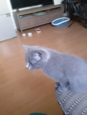 cautam un nou camin unde sa fim iubiți 