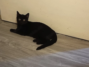 Findelkind schwarzes Mädchen 