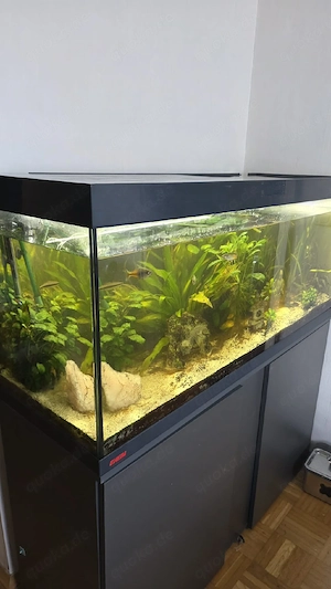 Aquarium 240L Komplettset + viel Zubehör