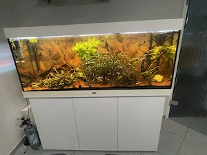 Juwel RIO 450 komplettes Aquarium mit Besatz und viel Zubehör