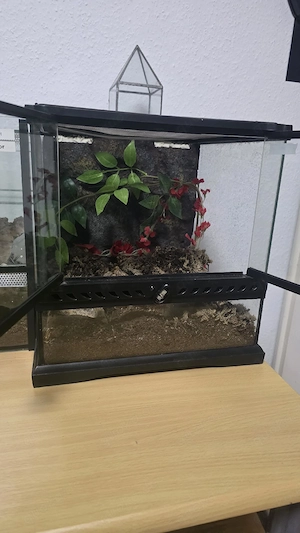 exo terra 30x30x30 terrarium 