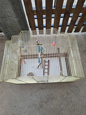 Vogelkäfig mit Zubehör zu Verkaufen