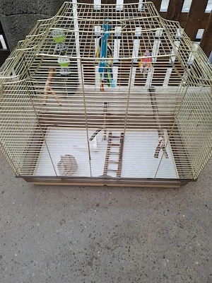 Vogelkäfig mit Zubehör zu Verkaufen
