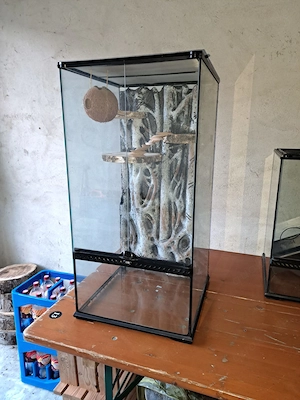 Terrarien und Aquarium zu verkaufen