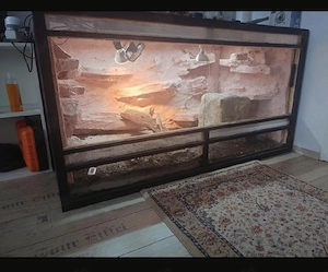 Terrarium 150x80x80