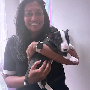 Miniature Bull Terrier Welpe (w) aus bestem Hause