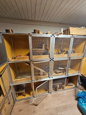 Degu-Stall   Degu-Käfig   gebraucht mit Zubehör