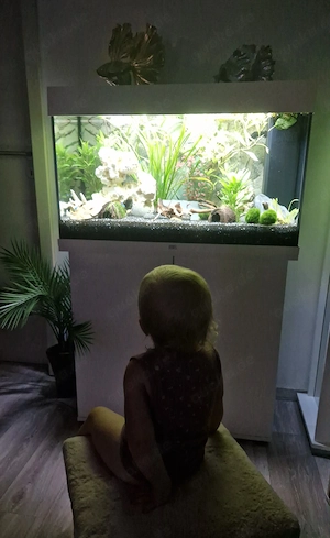 Aquarium 120l weiß JUWEL mit Unterschrank Set mit Zubehör 