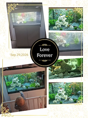 Aquarium 120l weiß JUWEL mit Unterschrank Set mit Zubehör 