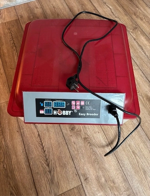 Inkubator von Hobby Breeder