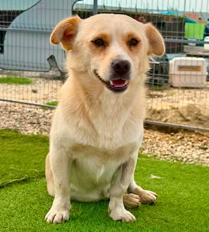 Theo, kleine Knutschkugel sucht seine Familie