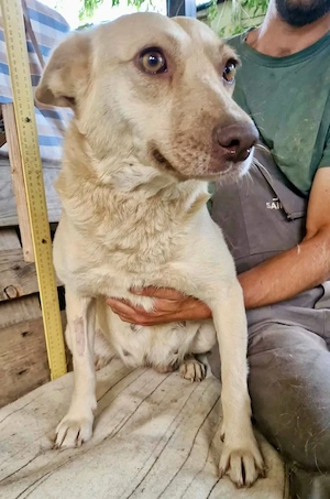 Delia, sanfte Schönheit sucht ihre Familie