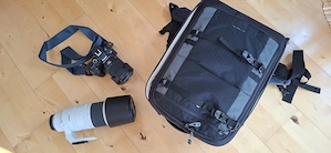Canon EOS R6 Mark 2