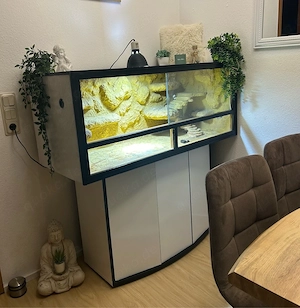 terrarium komplettset mit zahmer Bock