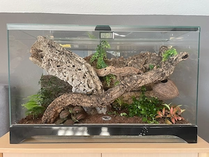 Terrarium Reptilien 80x50x40