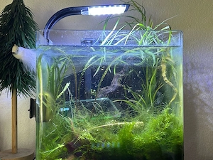 Nano Aquarium